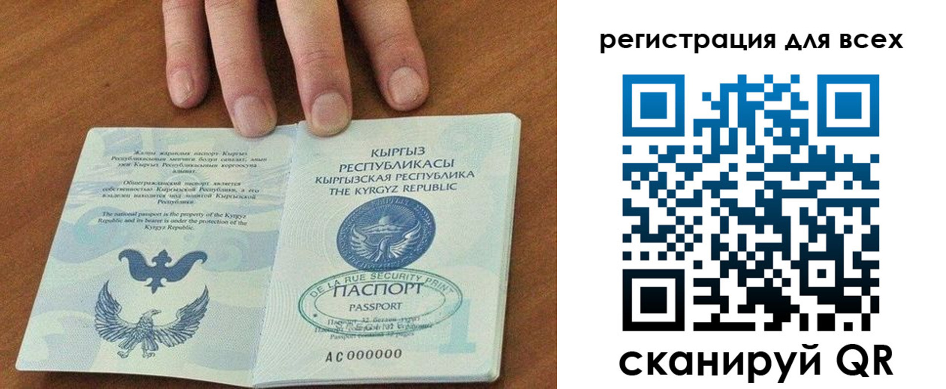 прописка для школы в Зверево